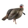 Avian-X Turkey Decoy HDR Jake Quarter-Strut AVX8105 2 Avian-X Turkey Decoy HDR Jake Quarter-Strut AVX8105 -Hunting Supply Store AvianX 00103 Avian X Turkey Decoy HDR Jake Strut AVX8105