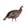Avian-X Turkey Decoy HDR Hen Breeder, Lookout AVX8106 -Hunting Supply Store AvianX 01696 Avian X HDR Hen Decoy Breeder AVX8106
