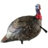 Avian-X Turkey Decoy LCD Jake Quarter Strut AVX8003 -Hunting Supply Store AvianX 08003 Avian X Turkey Decoy LCD Jake Quarter Strut AVX8003