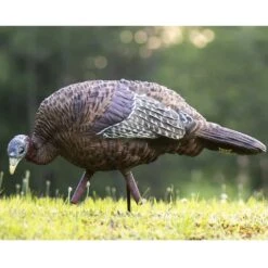 Avian-X Turkey Decoy LCD Feeder Hen AVX8007 7 Avian-X Turkey Decoy LCD Feeder Hen AVX8007 -Hunting Supply Store AvianX 08007 Avian X Turkey Decoy LCD Feeder Hen AVX8007 Pic