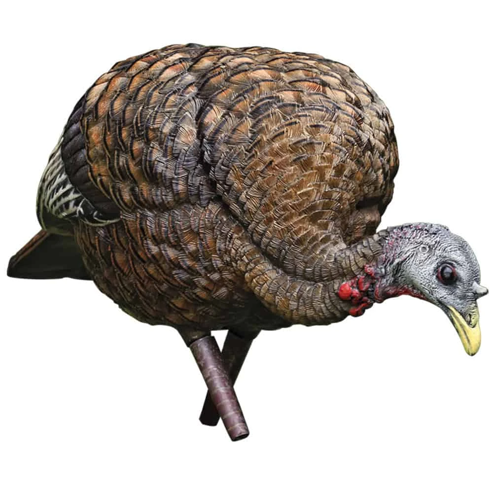 Avian-X Turkey Decoy LCD Feeder Hen AVX8007 3 Avian-X Turkey Decoy LCD Feeder Hen AVX8007
