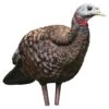 Avian-X Turkey Decoy LCD Breeder Hen AVX8008 -Hunting Supply Store AvianX 08008 Avian X Turkey Decoy LCD Breeder Hen AVX8008