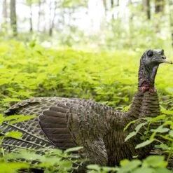 Avian-X Turkey Decoy LCD Laydown Hen AVX8011 -Hunting Supply Store AvianX 08011 Avian X Turkey Decoy LCD Laydown Hen AVX8011 Pic