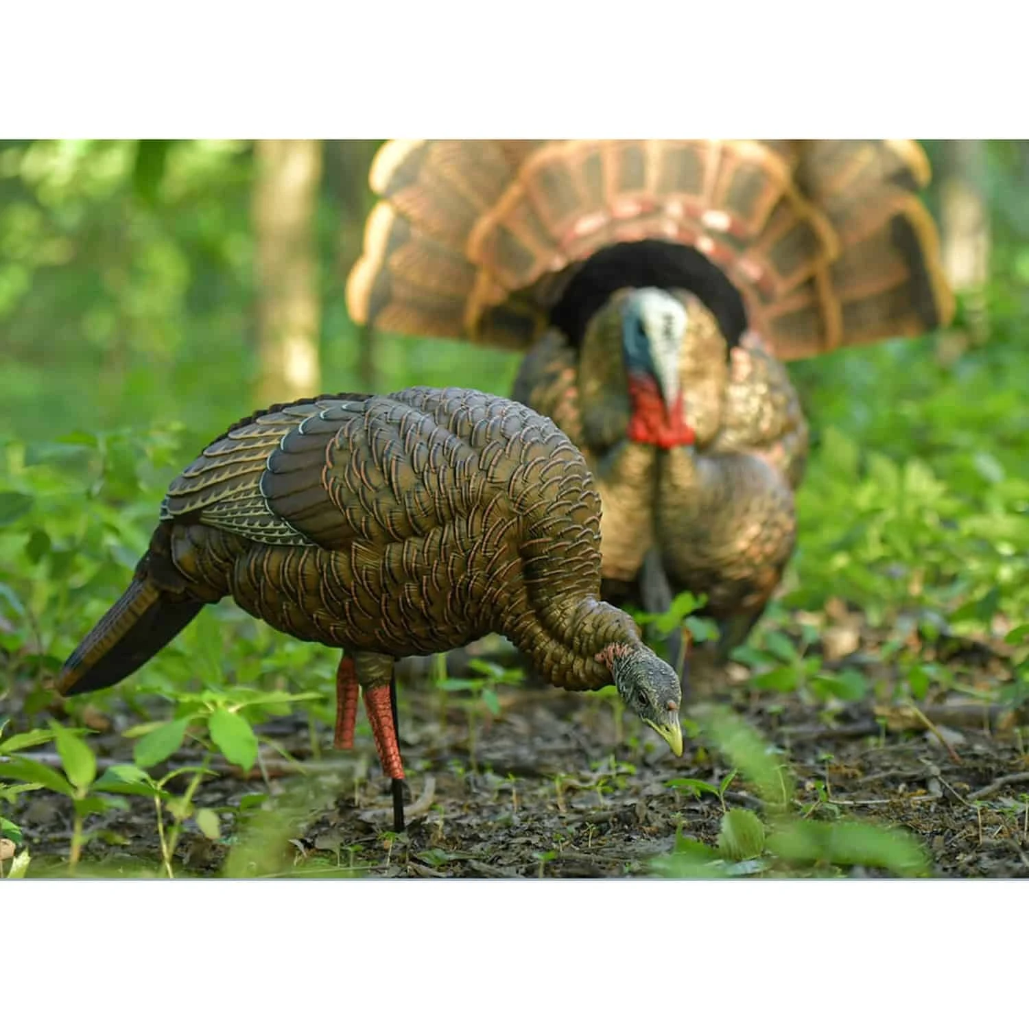 Avian-X Turkey Decoy HDR Hen Feeding AVX8107 4 Avian-X Turkey Decoy HDR Hen Feeding AVX8107 - Image 2