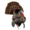 Avian-X Turkey Decoy HDR Strutter Tom AVX8108 -Hunting Supply Store AvianX 08108 Avian X Turkey Decoy HDR Strutter AVX8108