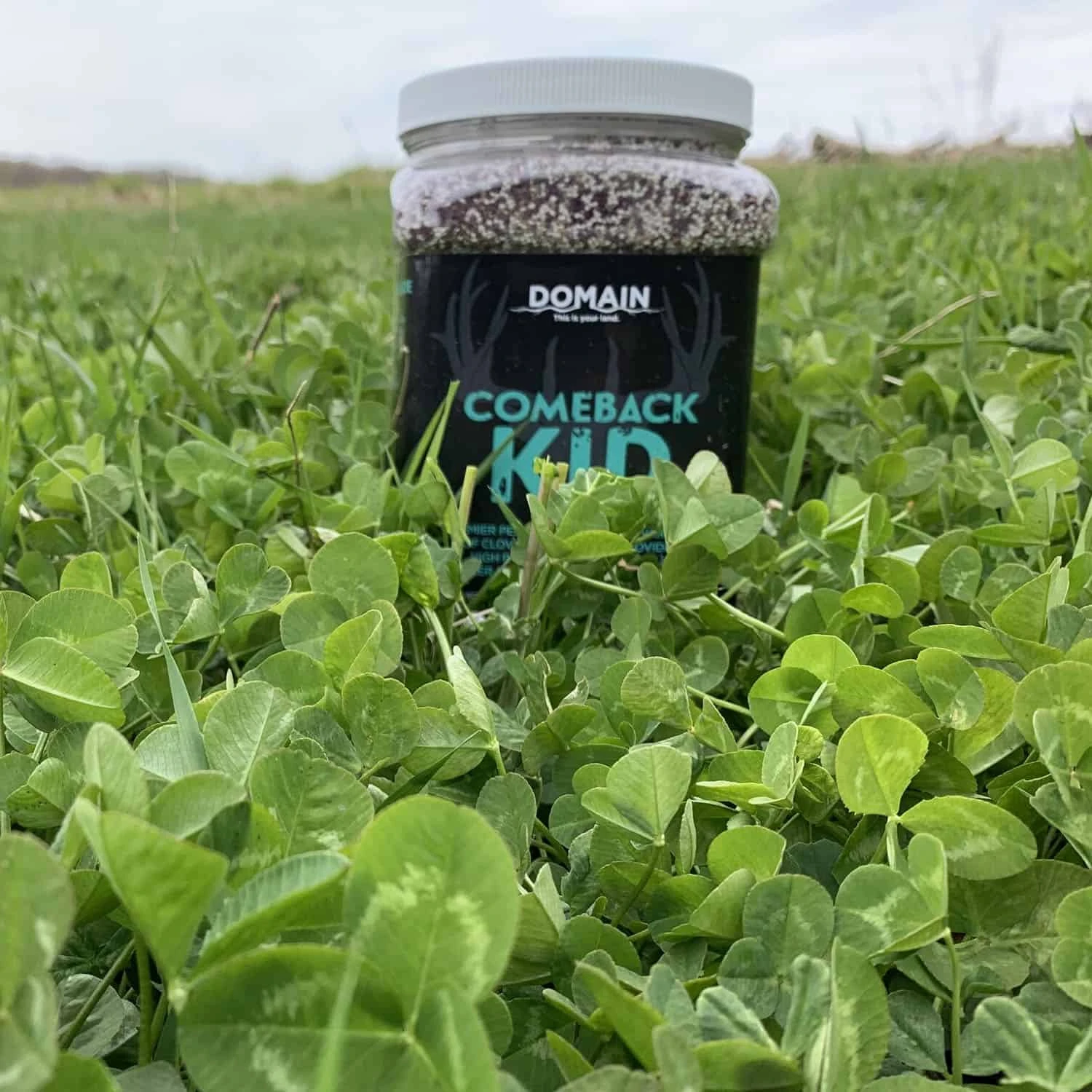 Domain Outdoor Food Plot Seed Comeback Kid 3.75lb Jug (Plants 1/2 ACRE) 4 Domain Outdoor Food Plot Seed Comeback Kid 3.75lb Jug (Plants 1/2 ACRE) - Image 2
