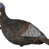 Flextone Thunder Jake Turkey Decoy FLXDY317 2 Flextone Thunder Jake Turkey Decoy FLXDY317 -Hunting Supply Store Flextone 00982 Flextone Thunder Jake Turkey Decoy FLXDY317