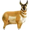 Montana Decoy Company Antelope Buck 38″x30″ -Hunting Supply Store Montana 00003 Antelope Buck Decoy 1