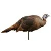 Montana Decoy Company Turkey Spring Fling Hen 2d Decoy -Hunting Supply Store Montana 00042 Spring Fling Hen 1