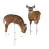 Montana Decoy Company Archers Choice Deer Plot Pack 2 Decoys -Hunting Supply Store Montana 00070 Plot Pack Deer 1