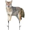 Montana Decoy Company Song Dog Coyote Decoy 0079 -Hunting Supply Store Montana 00079 Montana Decoy Song Dog Coyote 0079