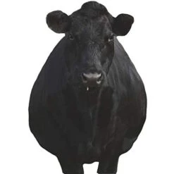 Montana Decoy Company Bessie Moo Cow 0081