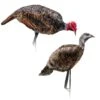 Montana Decoy Company Turkey Purrfect Pair XD Combo Jake & Hen 0086 -Hunting Supply Store Montana 00086 Montana Decoy Purrfect Pair XD Turkey Decoys 0086