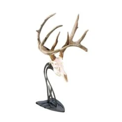 Skull Hooker Table Hooker Antler Mount Black TH-Assy-BLK