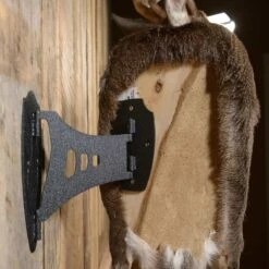 Skull Hooker Single Shoulder Mount Black SKH-SSM-BLK -Hunting Supply Store Skull 03034 Skull Hooker Single Sholder Mount SKH SSM BLK Back Mount