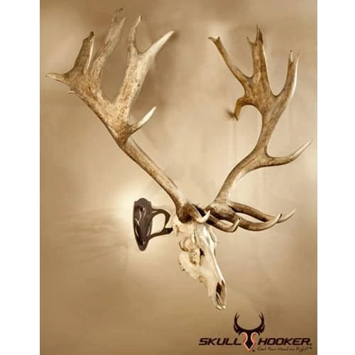 Skull Hooker Big Hooker Antler Mount Brown BH-Assy-BRN 4 Skull Hooker Big Hooker Antler Mount Brown BH-Assy-BRN - Image 2